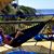 Terrie Ballenger-Wilson's profile image