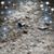 Deanna Frock's profile image