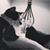 Tracey Neese's profile image