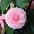Marcia Conner Russell's profile image