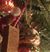 Renee Chisholm Patterson's profile image