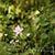 Susan Taylor's profile image