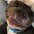 Braden Beamer's profile image