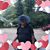 Stacey Gilliam Flowers's profile image