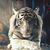 Christine Eckerson's profile image