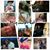 Kristen Layman Embry's profile image