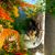 Effie Slominski's profile image