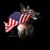 Antoinette Herrera's profile image