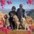 Donna L. Hughes's profile image