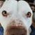 Teri McDomic's profile image