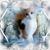 Lisa Campbell Merritt's profile image