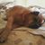 Shannon Kresse's profile image