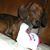Keith Bartella's profile image