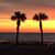 Nancy Nilson's profile image