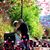 Pauline Fraedrich's profile image