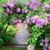 Karen Mikulka Dinsfriend's profile image