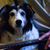 Gary Prisby's profile image