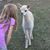 Charlene Payne Schmid's profile image