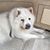 Karen Minton Gulrich's profile image