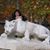 Beth Jackson's profile image