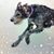 Risha Cupit-Berzins's profile image
