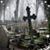 Mark Stevens's profile image