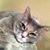 DeChan Neuchter's profile image