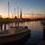 Linda Sitton-Steinshouer's profile image
