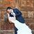 Sammy Y Mercy Aravena-Rufin's profile image