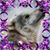 LoneWolf McFarland's profile image