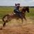 Tiffany Wegman's profile image