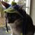 David N Raynette Rau's profile image