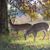 Sheila Cline's profile image