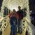 Carrie Wilson Cw Dolphin's profile image