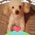 Elaine Delaney Clemons's profile image