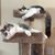 Krissy Thome's profile image