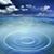 Regina Adamson's profile image