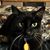 Cheri Johnson's profile image