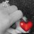 Dana Bucaro's profile image
