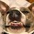 Jay Cotten's profile image