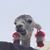Dede Kay Gregory's profile image