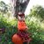 Lorena Ramirez's profile image