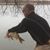 Patrick Luger's profile image
