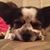 Patti Rivera's profile image