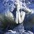 Sara Tini's profile image