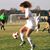 Lynne Hall Sawyer's profile image
