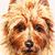 Michael Langham's profile image