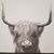 Jeff Johnson's profile image
