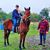 Katie Priestley's profile image