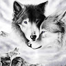 bethany h.'s profile image